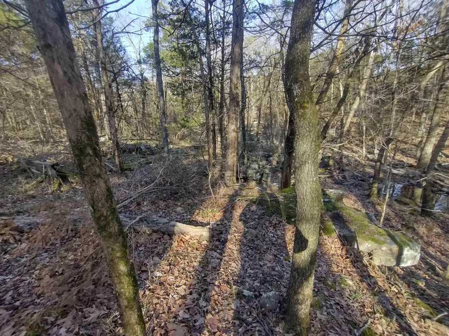 Tract 1 Hwy 14 E, Mountain View, AR 72560 - #3