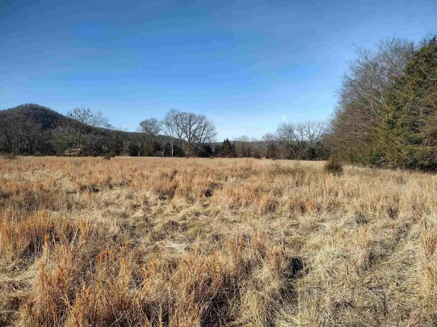 tract 5/6/7 Hwy 14 E, Mountain View, AR 72560 - #3