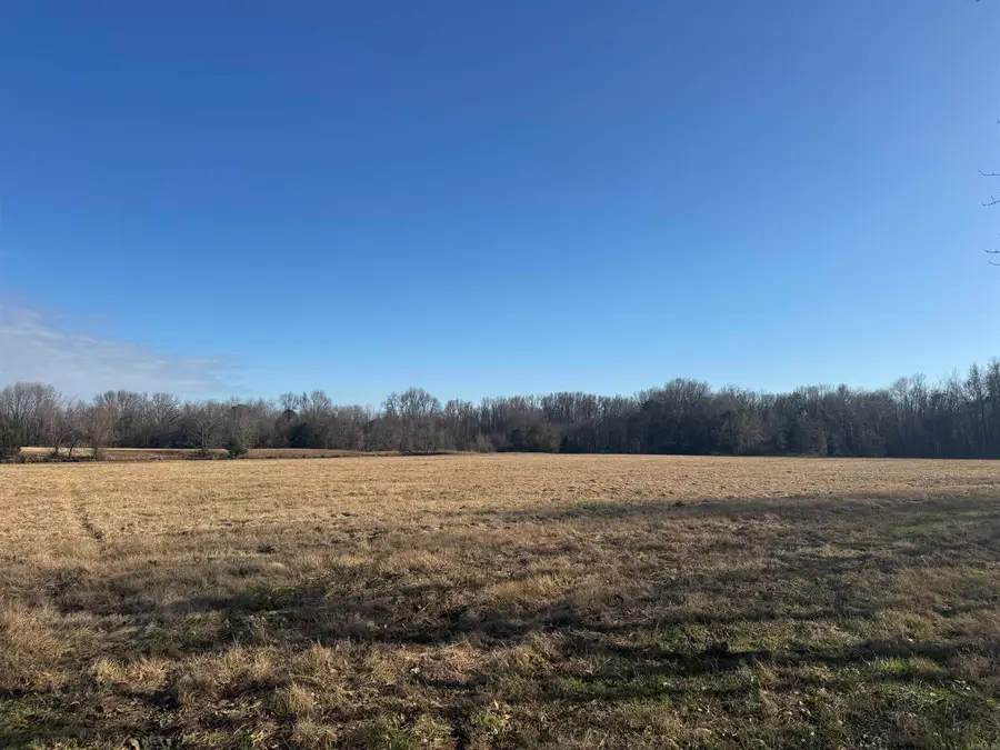 000 South Main Street, Coal Hill, AR 72832 - #3