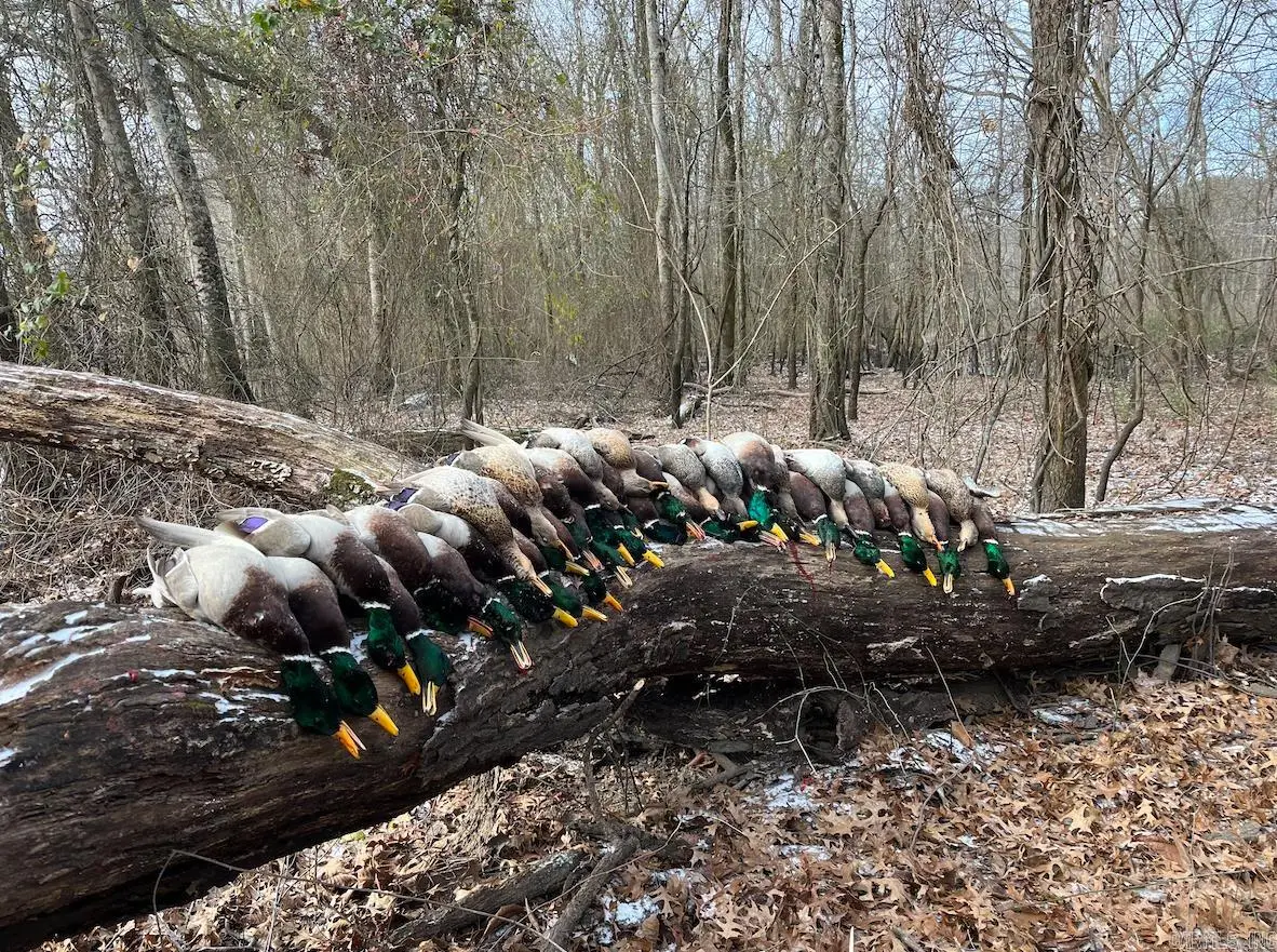 Address Withheld By Seller, Augusta, AR 72006 - #1