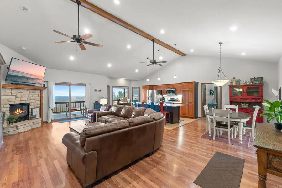 206 Swiss Alps Lane, Mountain Home, AR 72653 - #2