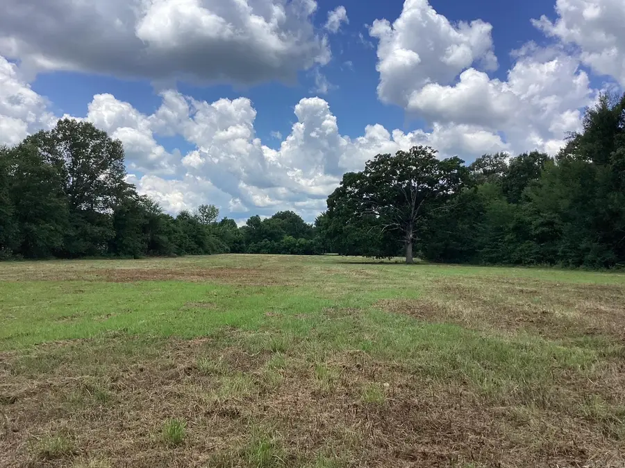 W Ave E. 41 Acres, Hope, AR 71801 - #2