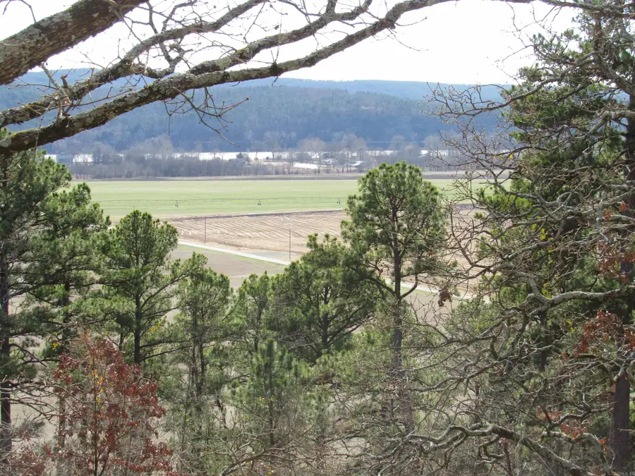 79 Jones Hill Lane, Mayflower, AR 72106 - #2