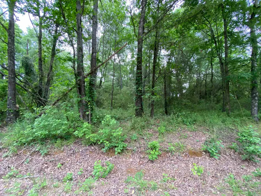 TBD Buck Range Road, Nashville, AR 71852 - #2