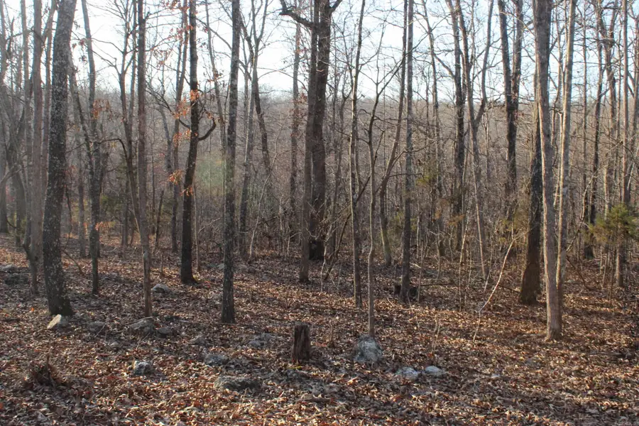 00 Hwy 289, Horseshoe Bend, AR 72512 - #3