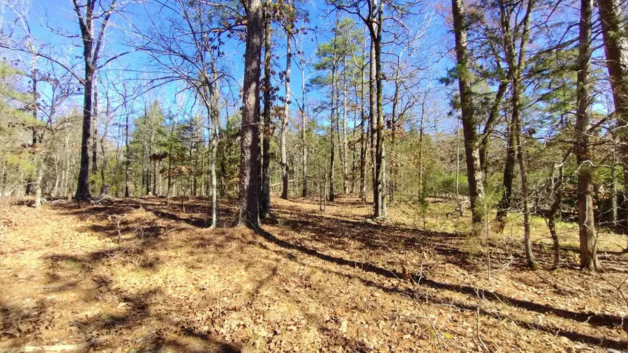 Address Withheld By Seller, Hot Springs Village, AR 71909 - #2