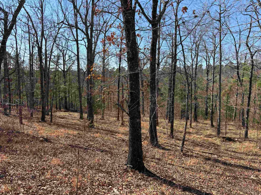 Address Withheld By Seller, Mena, AR 71953 - #2