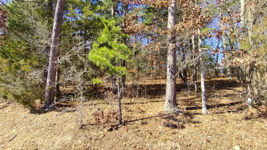 Address Withheld By Seller, Hot Springs Village, AR 71909 - #2