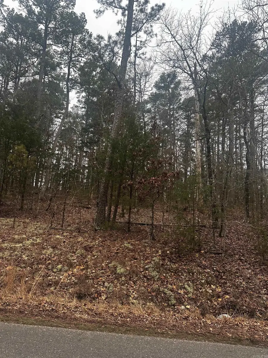 Cetrero Way, Hot Springs Village, AR 71909 - #3