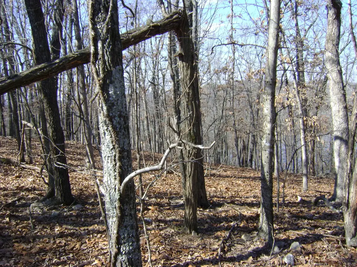 1301 View Park Circle, Horseshoe Bend, AR 72512 - #1