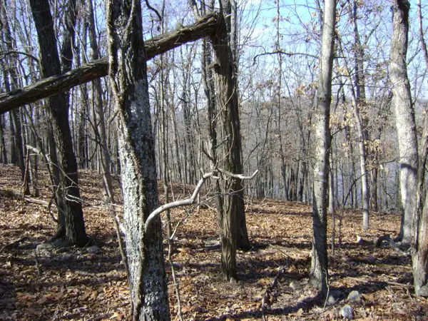 1301 View Park Circle, Horseshoe Bend, AR 72512