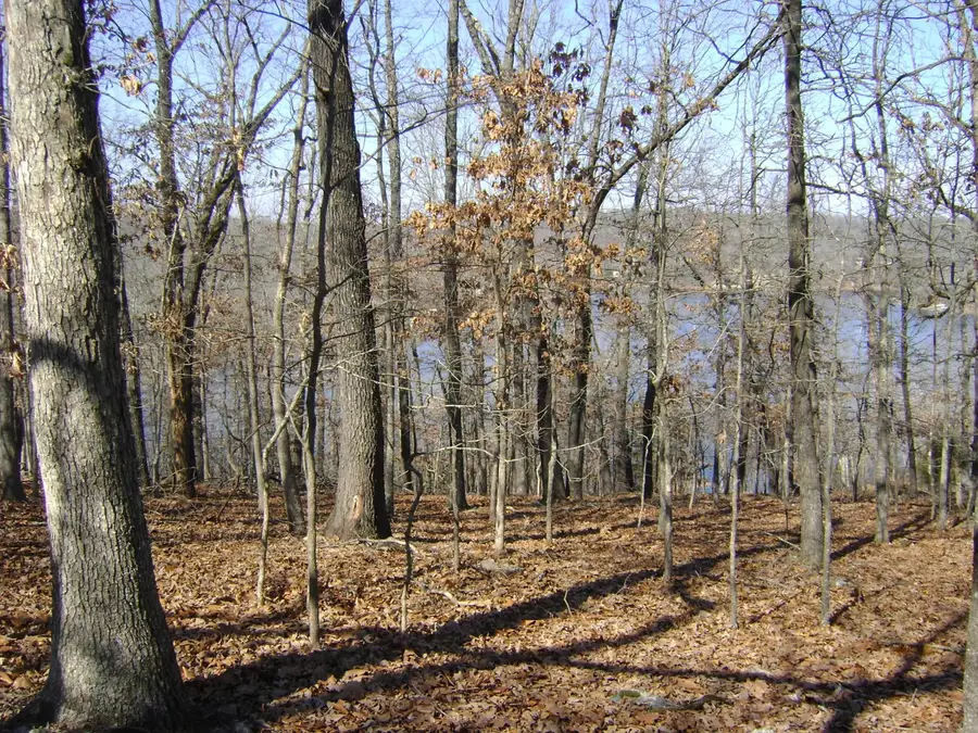 1301 View Park Circle, Horseshoe Bend, AR 72512 - #2