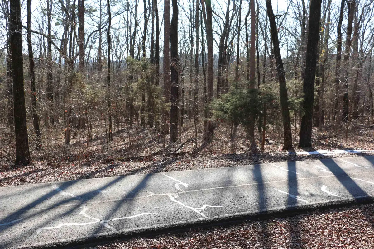 Lot 152 Woodlawn Drive, Fairfield Bay, AR 72088 - #1