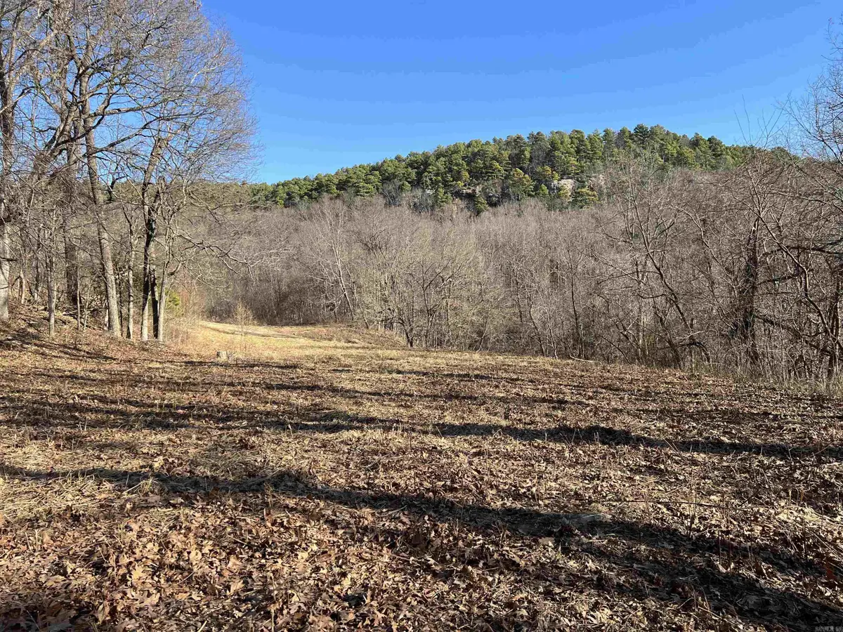 Terrapin Road, Harrison, AR 72601 - #1