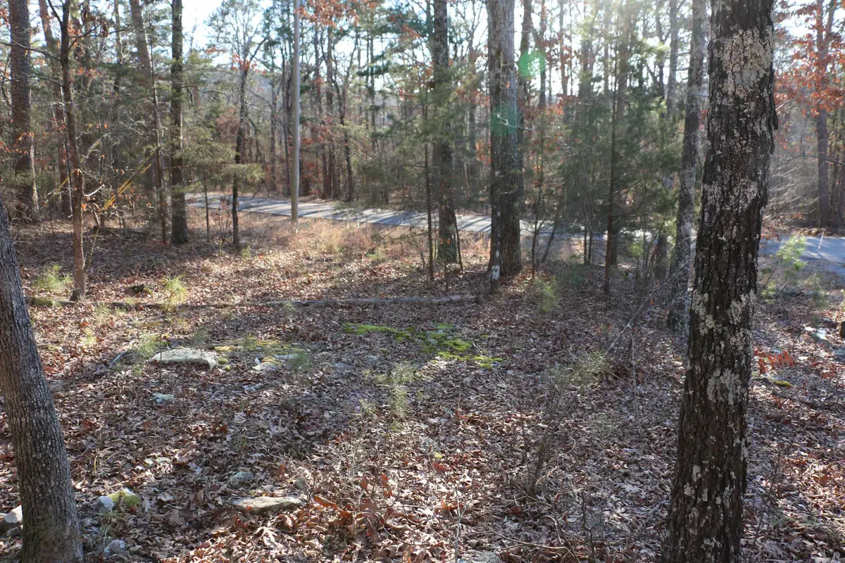 Lot 86 Lynn Creek Drive, Fairfield Bay, AR 72088 - #1