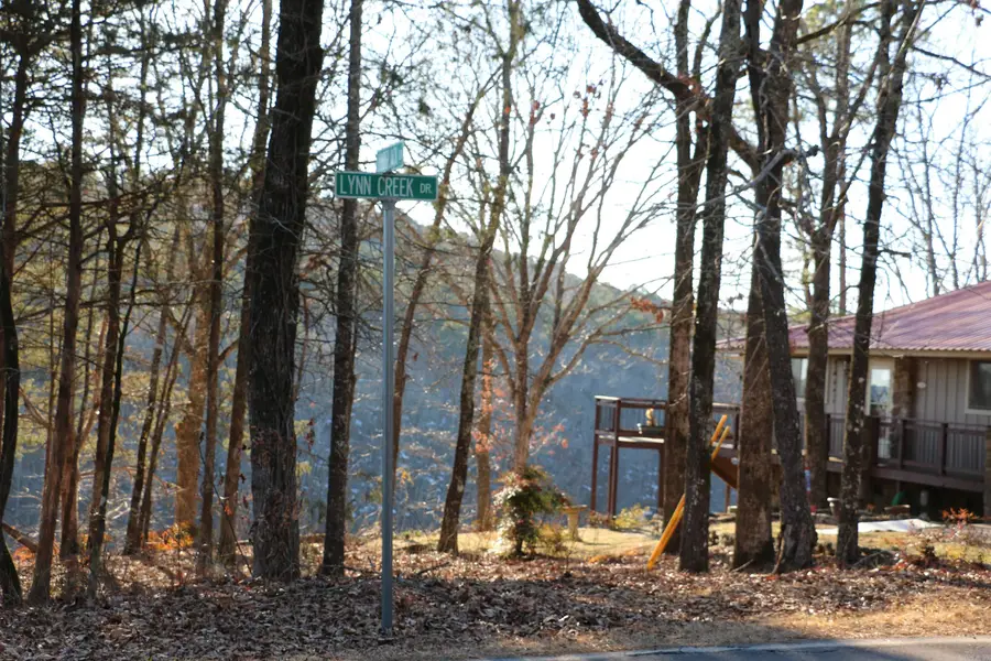 Lot 80 Lynn Creek Drive, Fairfield Bay, AR 72088 - #3