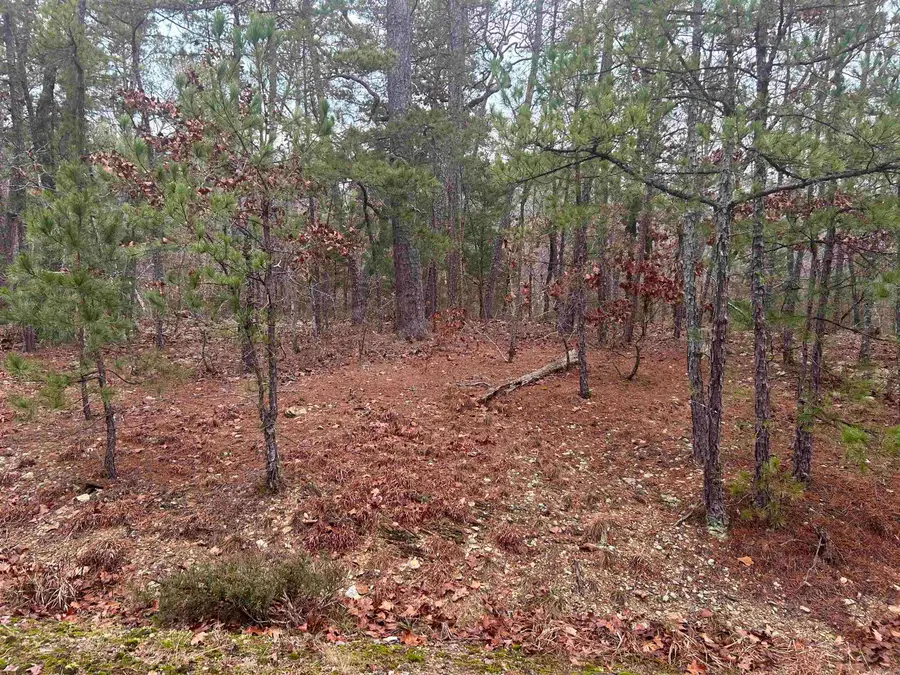 6 Calahorra Circle, Hot Springs Village, AR 71909 - #3