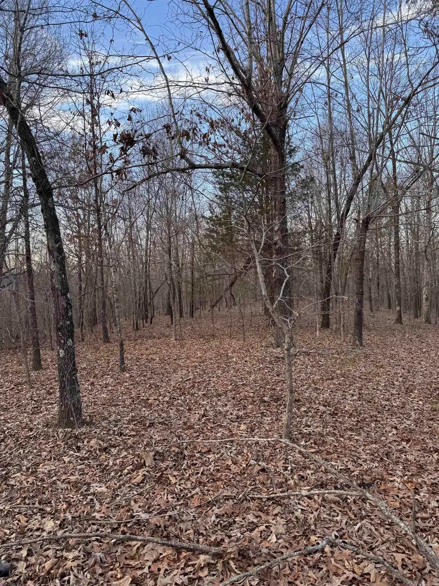 County Road 473, Rector, AR 72461 - #2