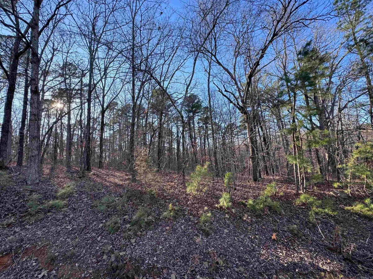 000 N Miller Point Road, Quitman, AR 72131 - #1