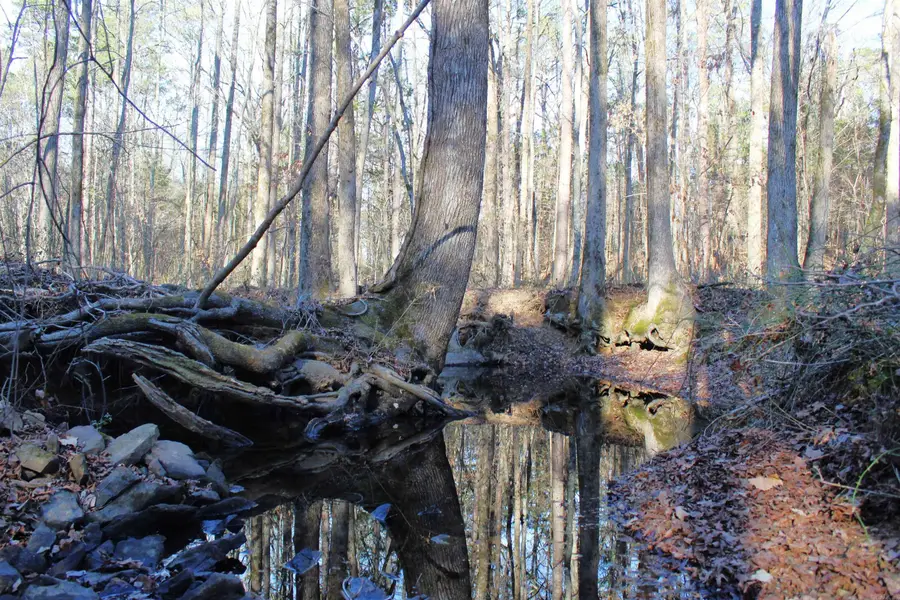 0 E Bivens Road, Quitman, AR 72131 - #2