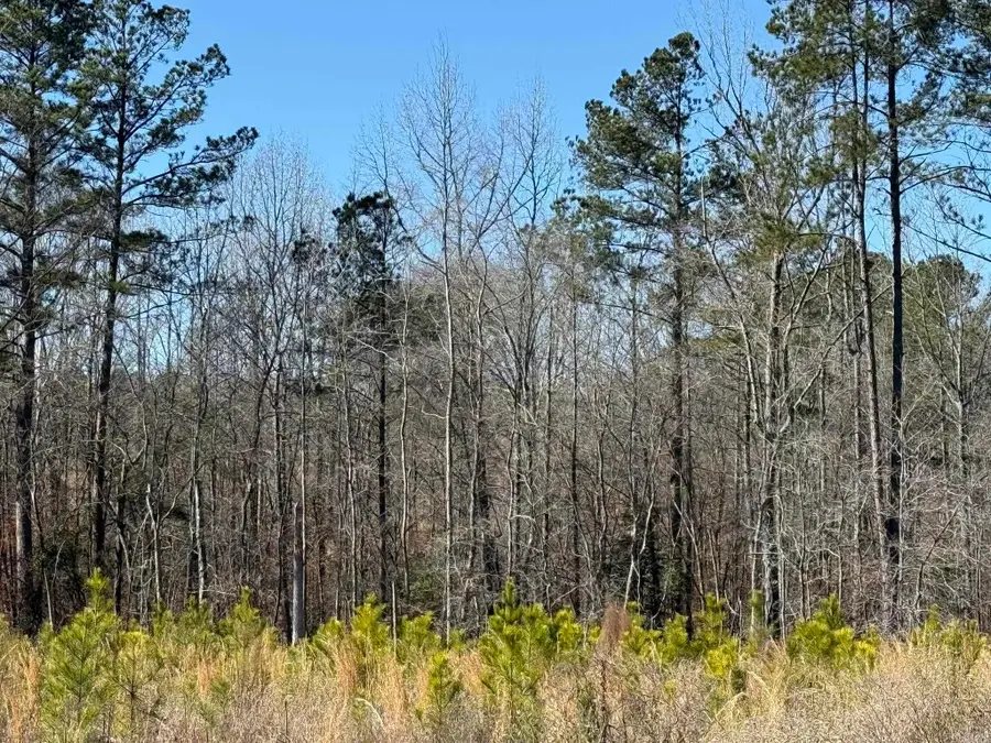 TBD Hempstead 18, Blevins, AR 71825 - #2