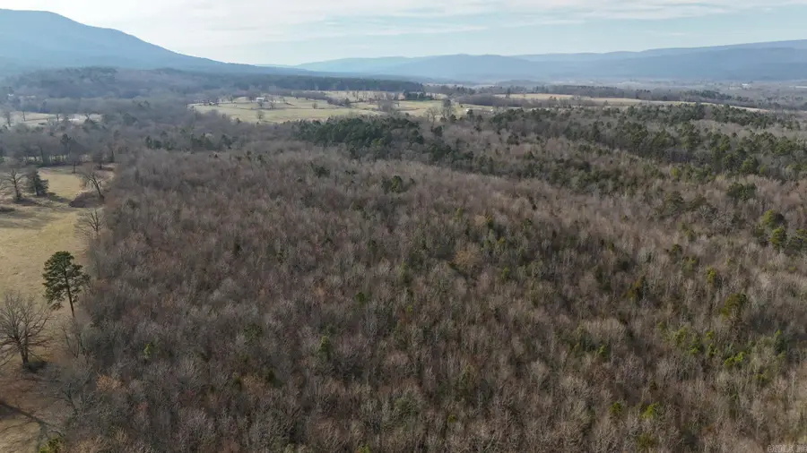 TBD Polk Road 95, Mena, AR 71953 - #2