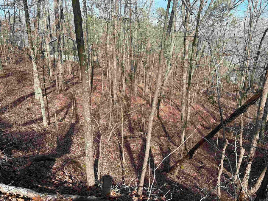 Address Withheld By Seller, Heber Springs, AR 72543 - #2