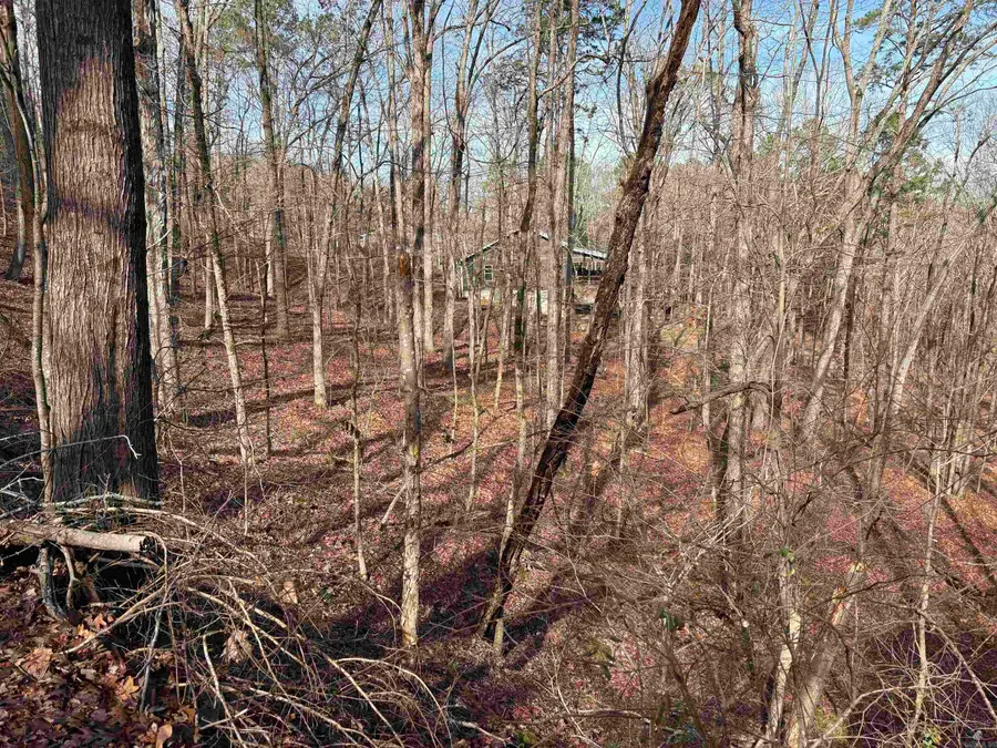 Address Withheld By Seller, Heber Springs, AR 72543 - #3