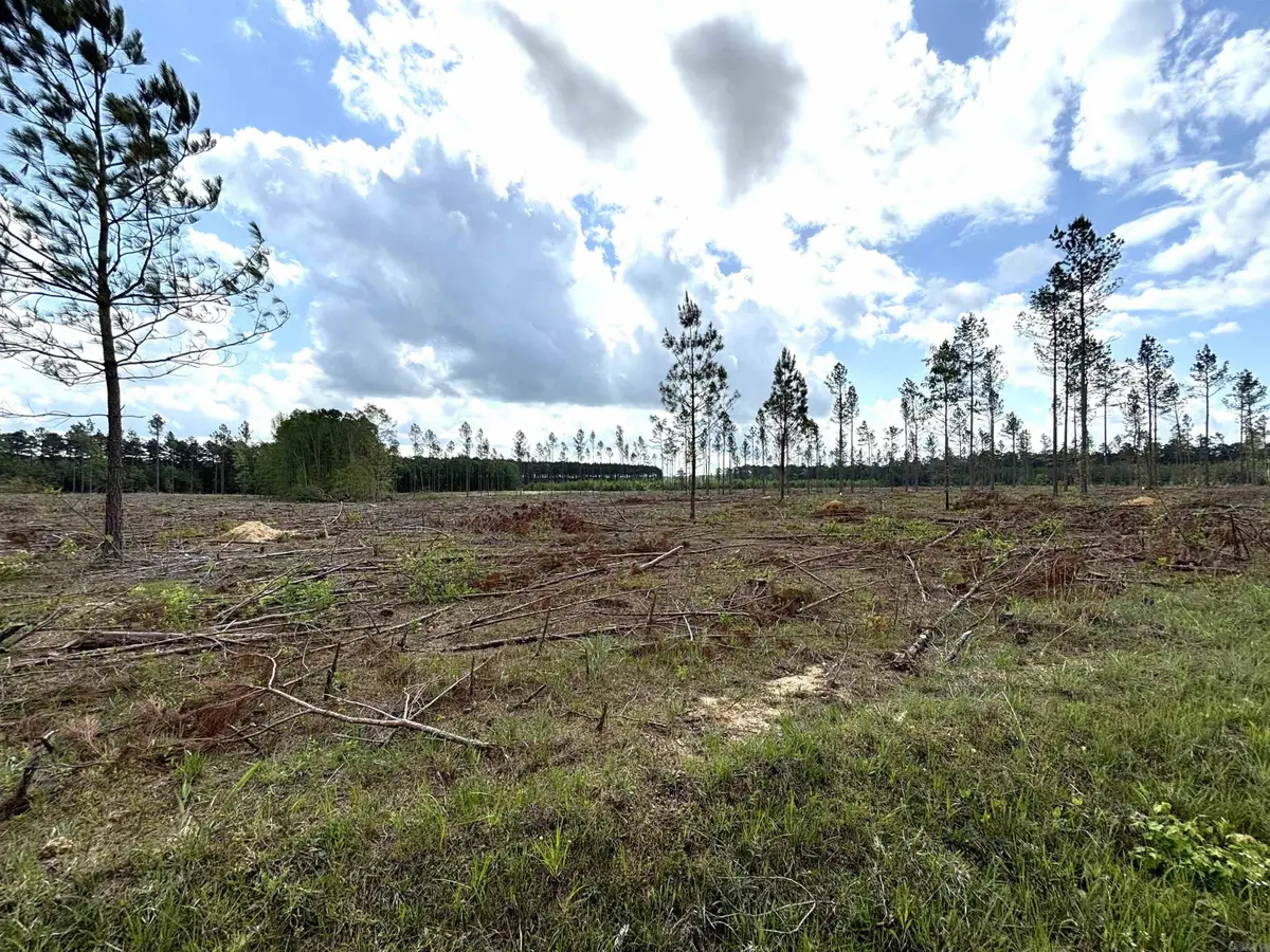 0 Grant County Road 9 (d), Sheridan, AR 72150 - #1