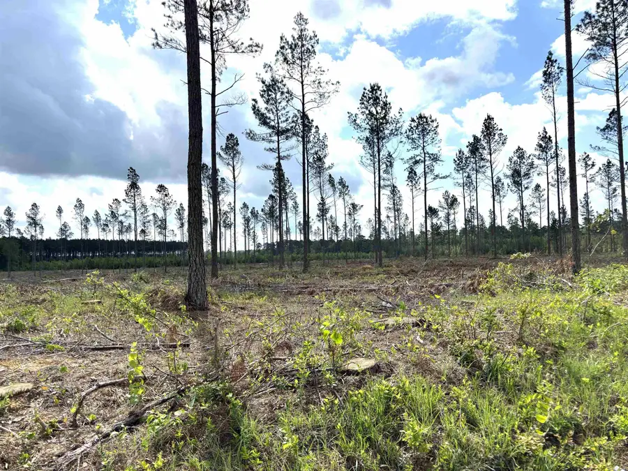 0 Grant County Road 9 (d), Sheridan, AR 72150 - #2