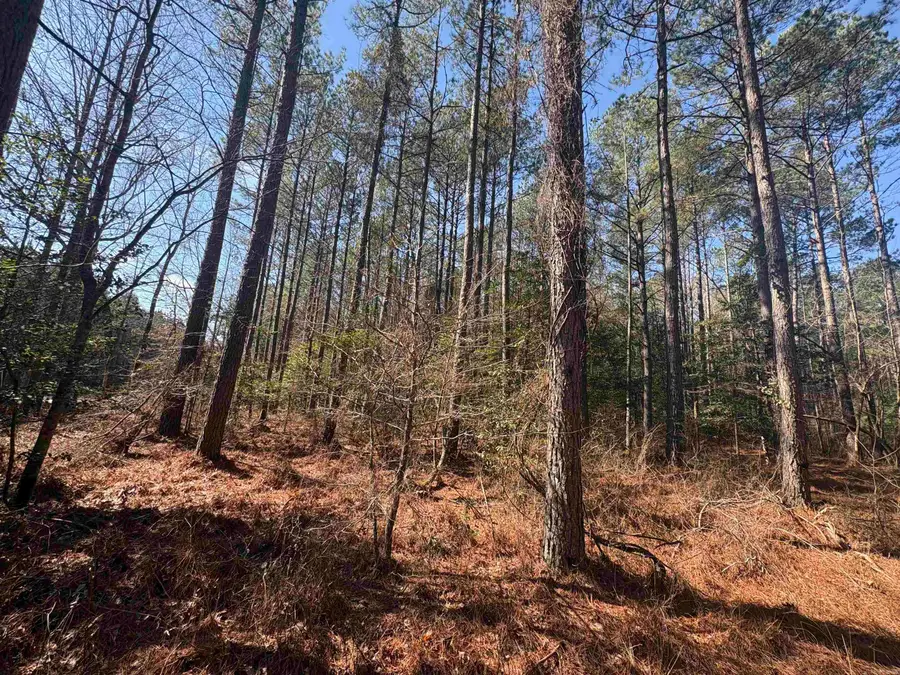 0 Hwy 46 N, Sheridan, AR 72150 - #3