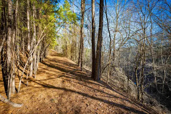 0 Grey Hawk Drive, Paron, AR 72122