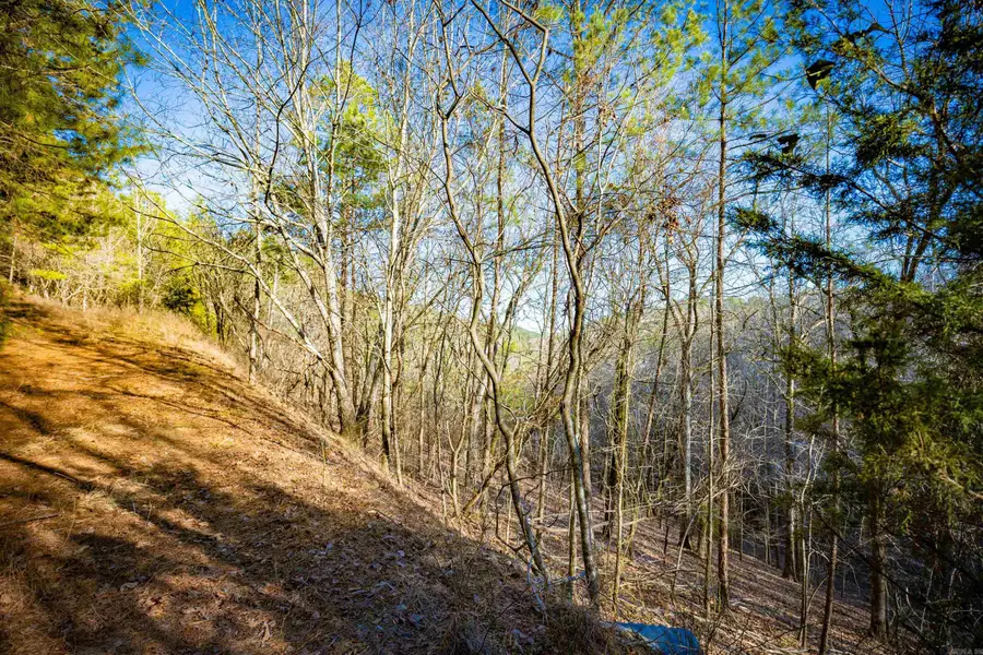 0 Grey Hawk Drive, Paron, AR 72122 - #2