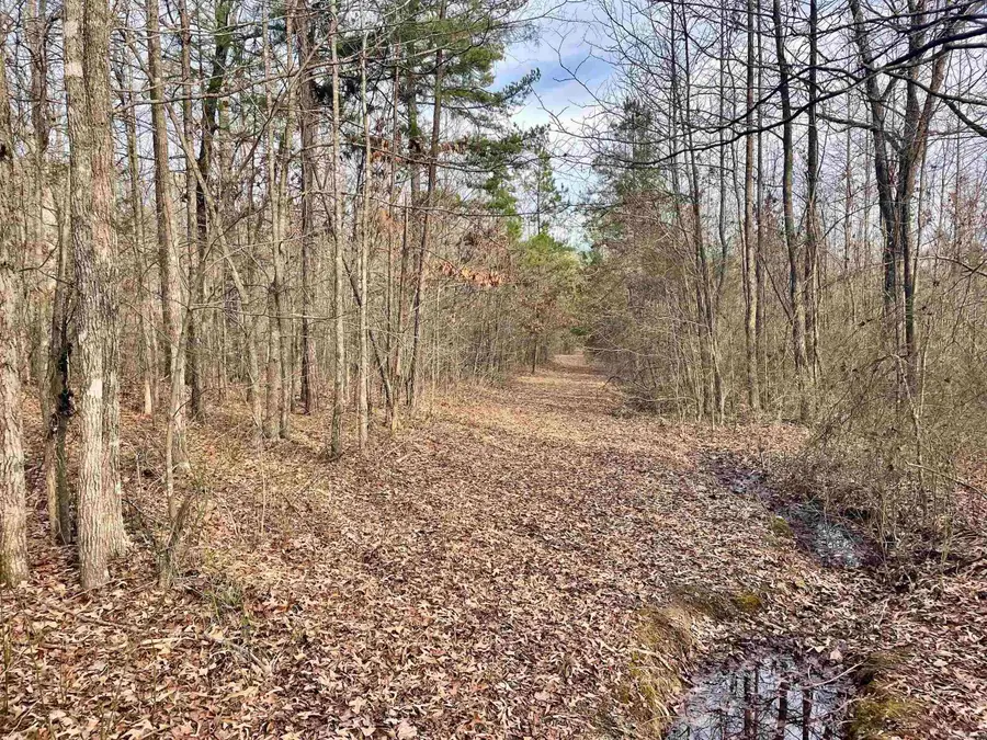 Address Withheld By Seller, Clinton, AR 72031 - #2