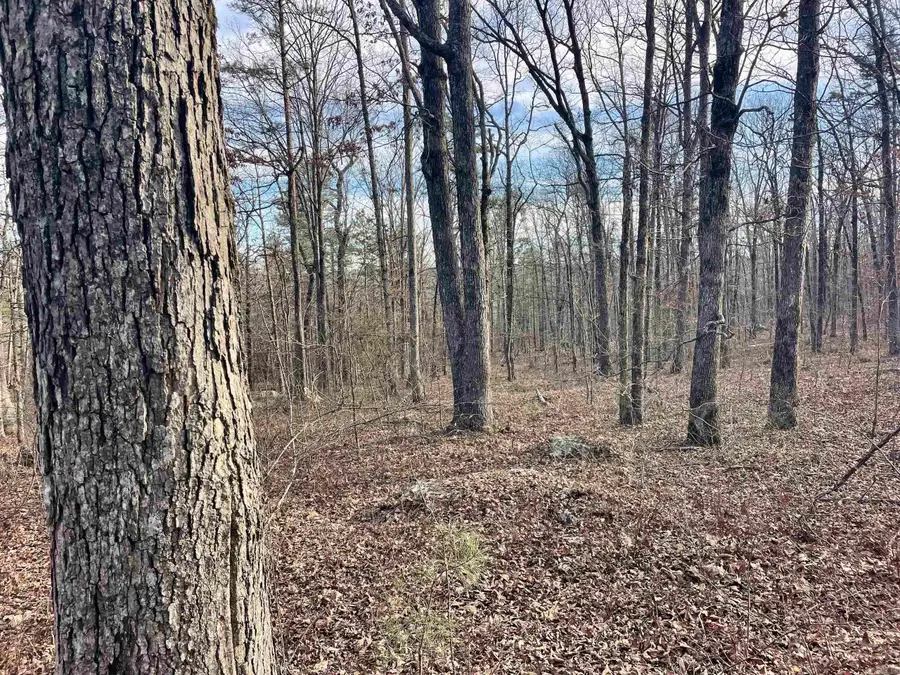 Address Withheld By Seller, Clinton, AR 72031 - #3