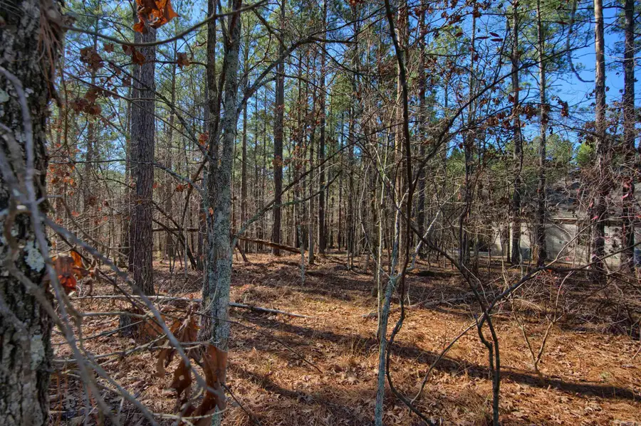 Address Withheld By Seller, Hot Springs Village, AR 71909 - #2