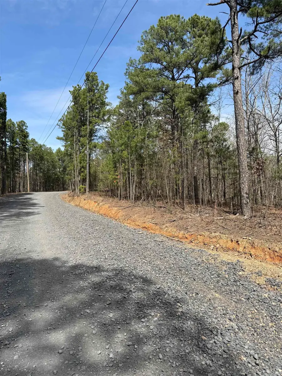 00 Long Branch Road, Bee Branch, AR 72013 - #2