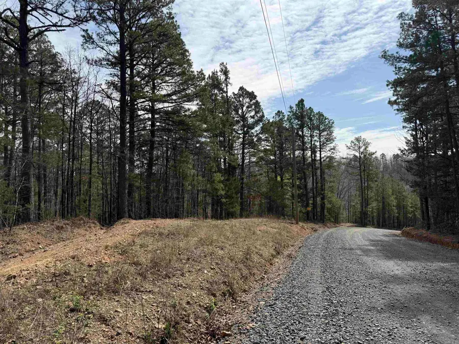 00 Long Branch Road, Bee Branch, AR 72013 - #3