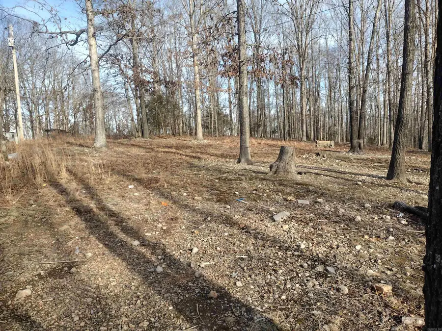 419 Foll Lp, Mountain View, AR 72560 - #3