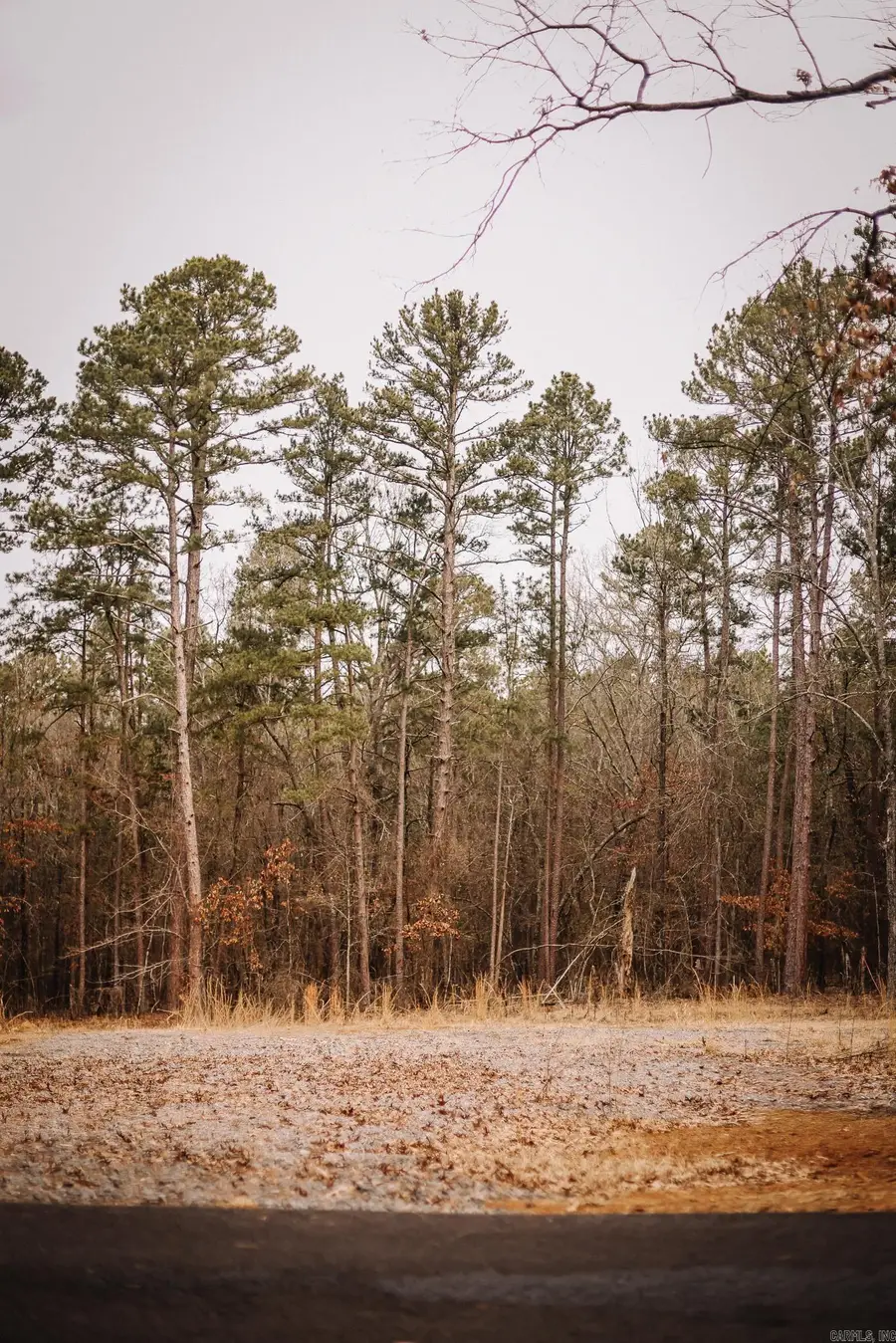 149 View Drive, Shirley, AR 72153 - #3