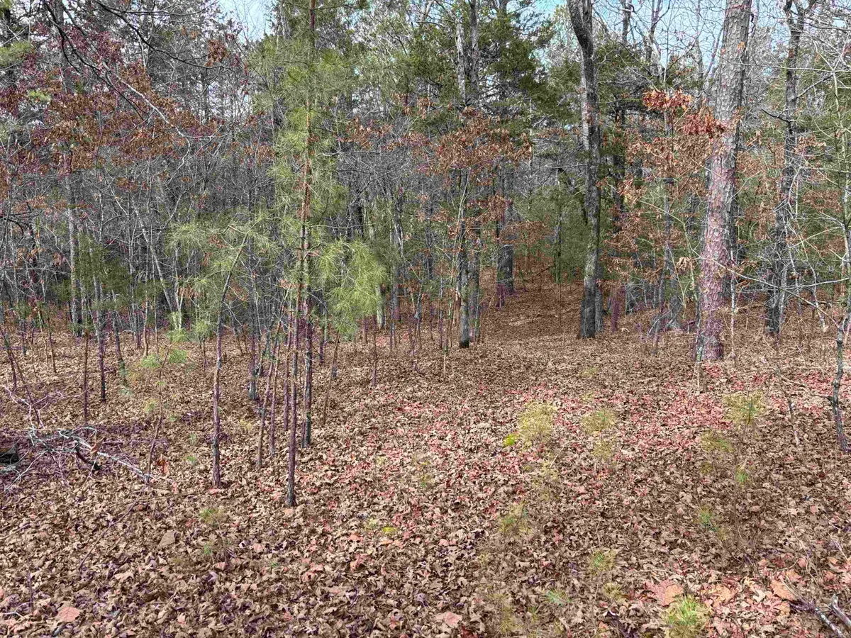 Address Withheld By Seller, Clinton, AR 72031 - #1