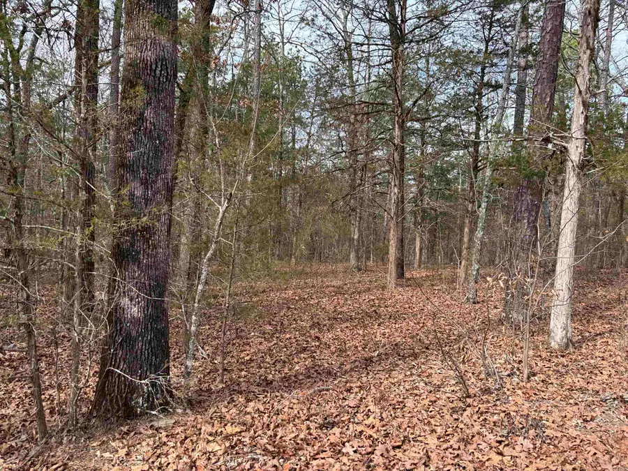 Address Withheld By Seller, Clinton, AR 72031 - #3