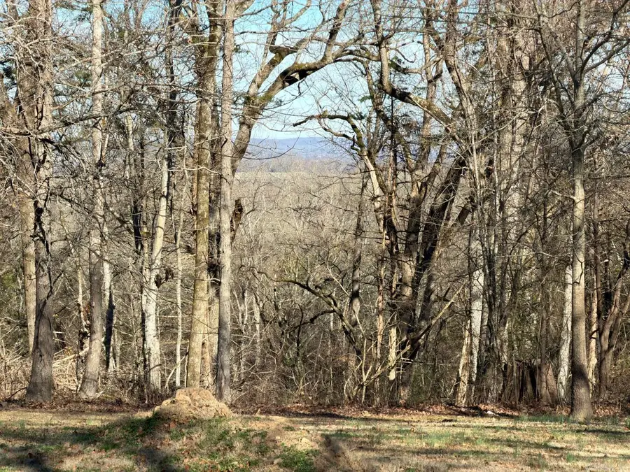 65 Jeffery Cutoff, Locust Grove, AR 72550 - #2