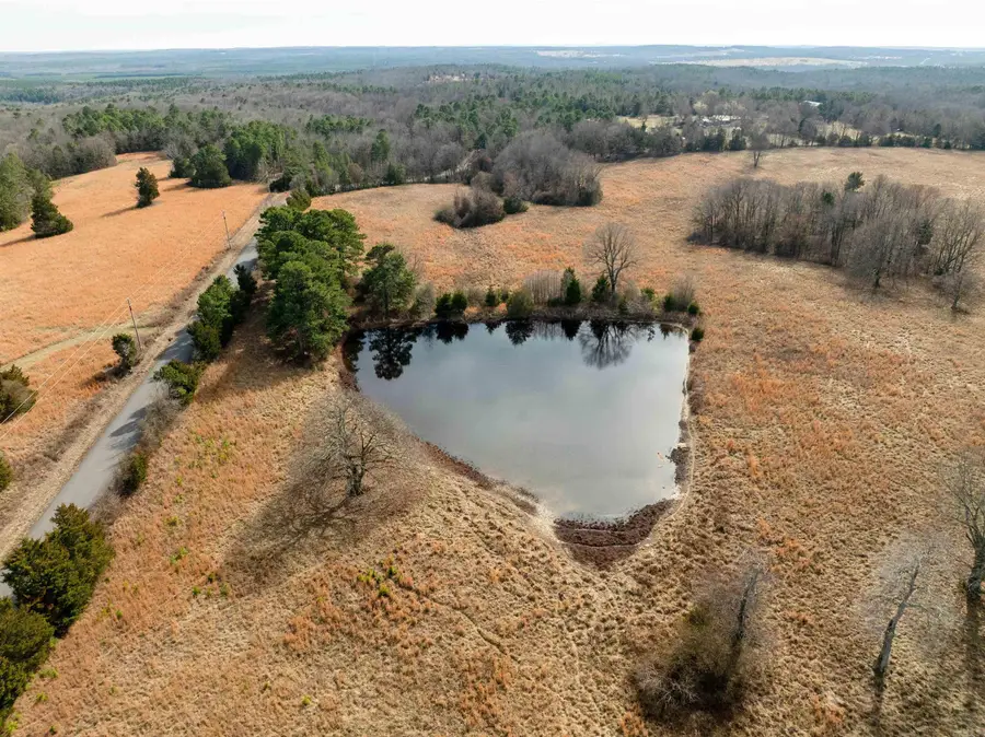 194 Kerlin Cutoff Road, Locust Grove, AR 72550 - #3
