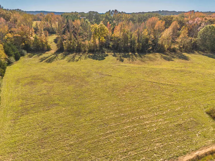 00 Arrowhead Rd, Greenbrier, AR 72058 - #3