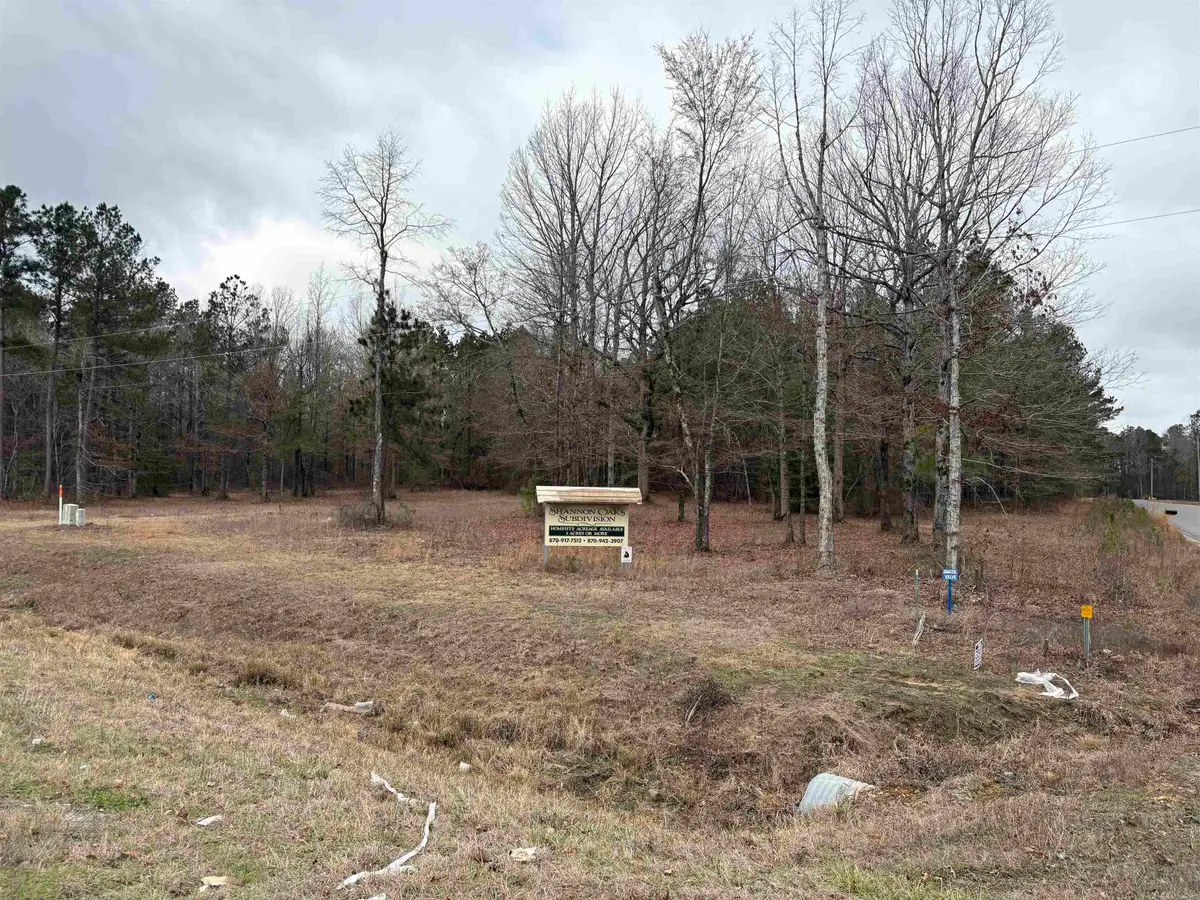 Tract 18 S Hwy 167 Highway, Sheridan, AR 72150 - #1