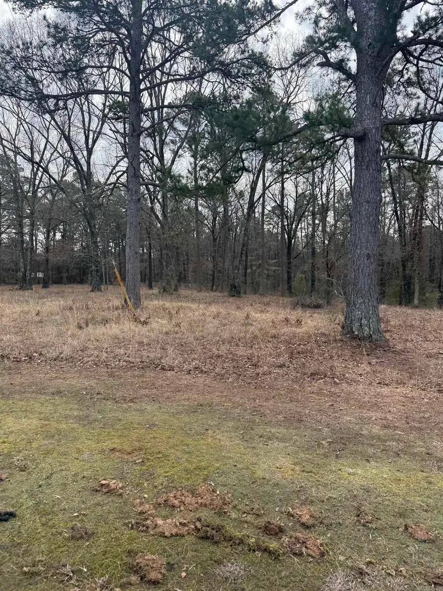 000 Donnies Drive, Clinton, AR 72031 - #2