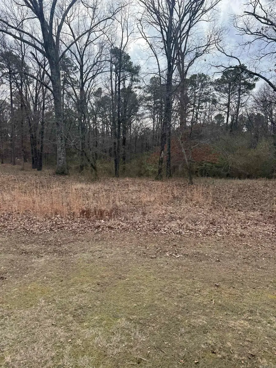 000 Donnies Drive, Clinton, AR 72031 - #3