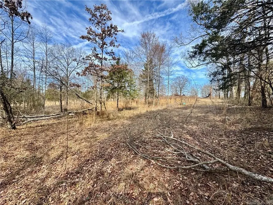 1954 County Road 3259, Clarksville, AR 72830 - #2
