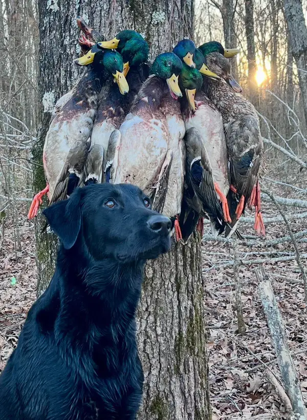 Address Withheld By Seller, Augusta, AR 72006